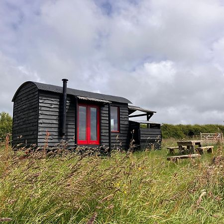 Shepherds Hut In A Private Meadow With Sea Views Hartland Exteriör bild