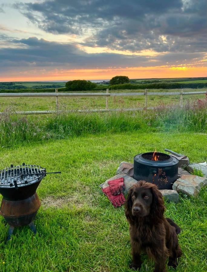 Shepherds Hut In A Private Meadow With Sea Views Hartland Exteriör bild