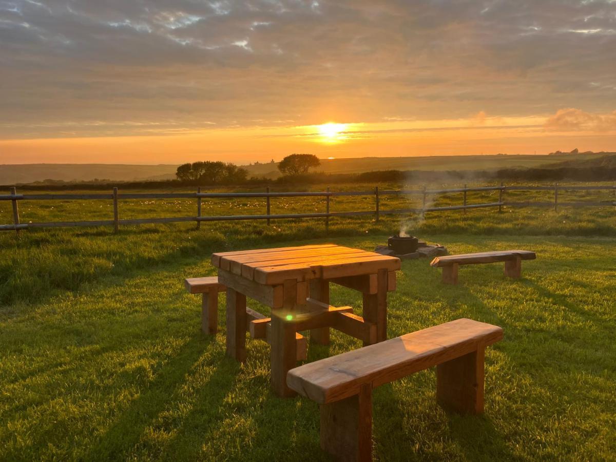 Shepherds Hut In A Private Meadow With Sea Views Hartland Exteriör bild